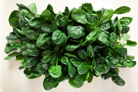 Fresh spinach backgroundの写真素材