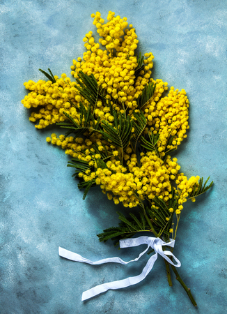 Yellow Mimosa bouquet on blue background, the symbol of spring and  International Women's Day.の写真素材