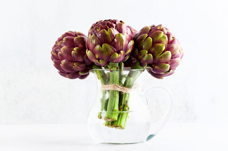 Fresh bunch of purple artichokes in a decanter with water on white background . spring healthy food with copy space