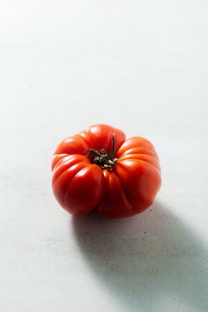 one red tomato on the table. light from behind. oxheartの写真素材