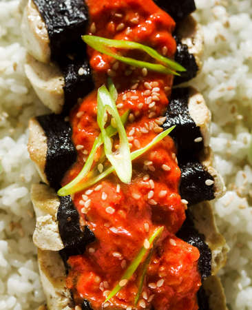 fried tofu wrapped in nori with tomato-coconut sauce and rice for sushi. vegan modern cuisineの写真素材
