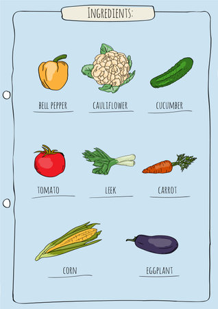 Vegetables and fruits. Vector illustration of a set of vegetables.のイラスト素材