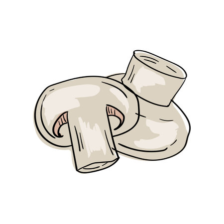 Champignon. Vector hand drawn illustration of vegetables. Culinary ingredient. Isolated sticker on white backgroundのイラスト素材