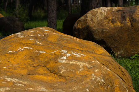 huge yellow stones on blurred background of green forestの写真素材