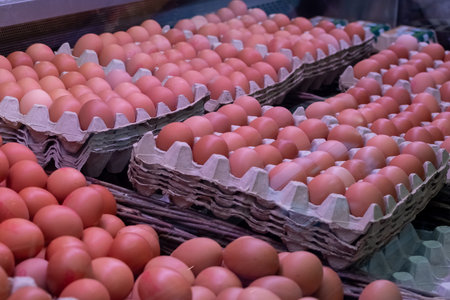 Brown chicken eggs in trays close-up in refrigerated display caseの写真素材