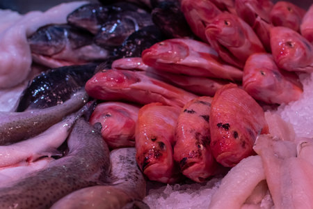 Fresh fish close-up on ice at the counter