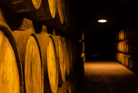 Rows of wooden wine barrels in dark underground warehouse