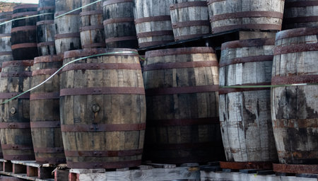 Rows of wooden wine barrels in dark brick warehouse