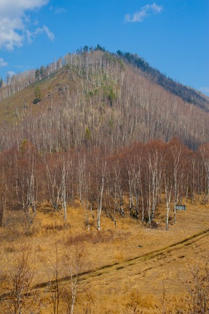 Spring on the Circum-Baikal Road to the south of Lake Baikalの写真素材