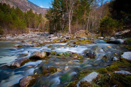 Arshan at the Sayan mountains in Buriatya, Siberia - Russia .の写真素材