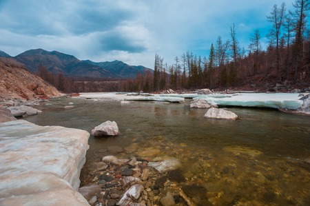 Beautiful spring landscape of the Western Sayan mountains.の写真素材