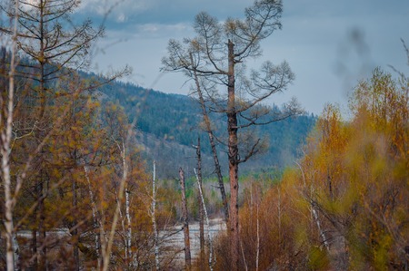 Beautiful spring landscape of the Western Sayan mountains.の写真素材