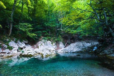 Mountain river landscape, the valley of ghosts, grass, rocks Crimeaの写真素材