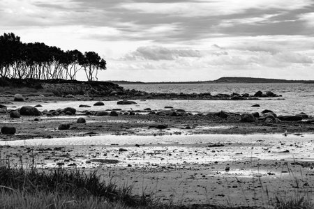 Shore of the White Sea on Bolshoy Solovetsky Island, Russia.の写真素材