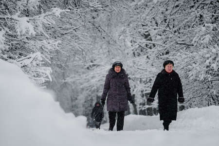 MOSCOW, RUSSIA - FEBRUARY 13, 2019: Grandmothers walk in the park during a snowfall.のeditorial素材