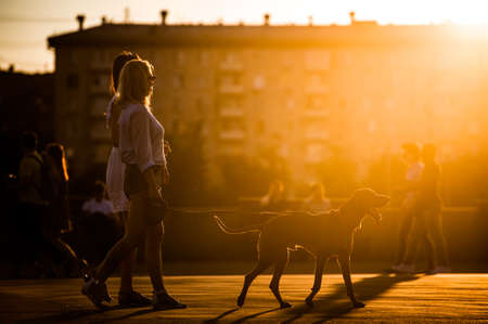 MOSCOW, RUSSIA - JUNE 25, 2016: Girls walking with a dog at sunset in Gorky Park.のeditorial素材