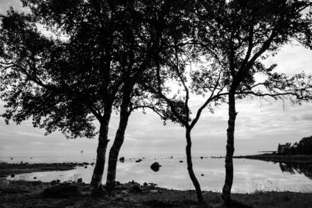 Coast of the White Sea on Bolshoy Solovetsky Island, Russia.の写真素材