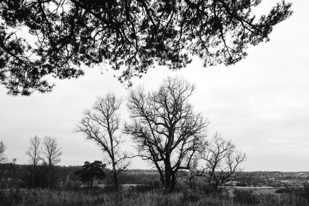 The destroyed church of the Archangel Michael in Nekhoroshevoの写真素材