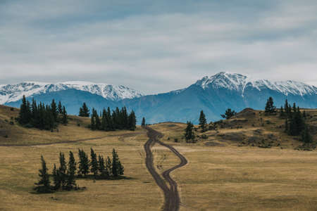 View of the Kurai steppes in the Altai Mountains.の写真素材