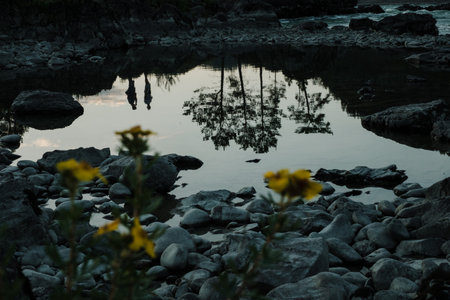 Landscape with a view of the Katun mountain river in the Altai Republic.の写真素材
