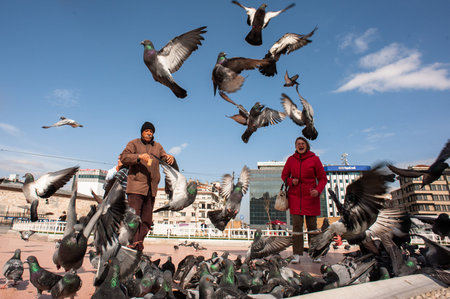 ISTANBUL, TURKEY - MARCH 18 2013: A woman feeds pigeons on the streets of Istanbulのeditorial素材