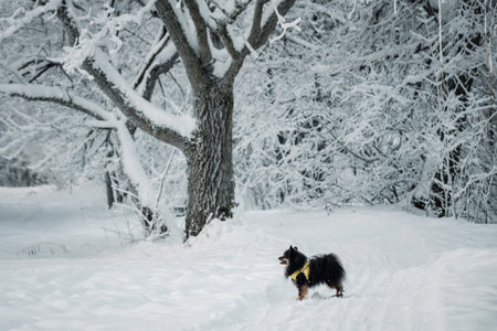 A small dog standing in a snowy forest