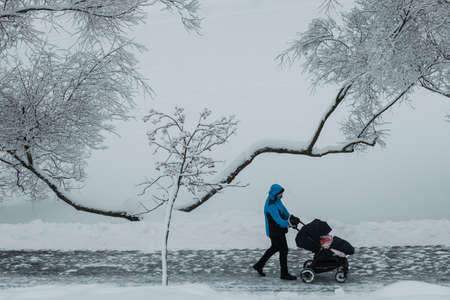 MOSCOW, RUSSIA - JANUARY 14 2021: A girl with a pram walks along a path past a snow-covered rowan treeのeditorial素材