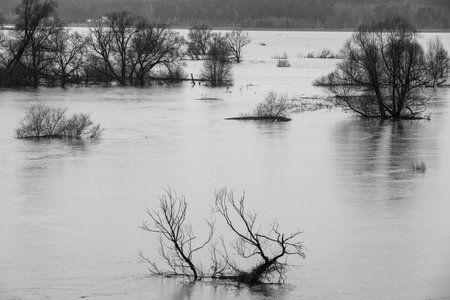 Protva river flooding in Drakino near the confluence with the Oka riverの写真素材