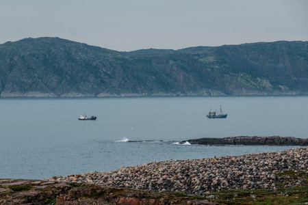 Barents Sea shore in Teribenka, Murmansk region