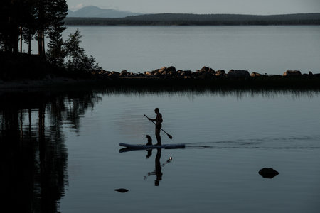 A man rides around the lake on a sup board with his dogの写真素材