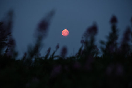 Landscape with the moonの写真素材