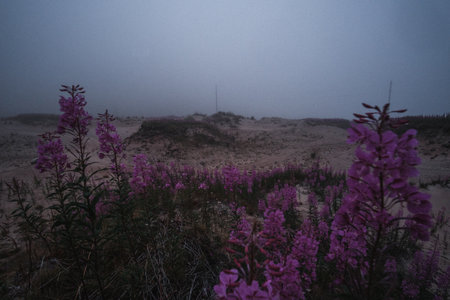 Steppe landscape on the river bank in Teriberkaの写真素材