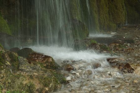 Jets of a small waterfall in a humid forest.の写真素材
