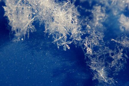 Macro image of crystals of snowflakes on a blue backgroundの写真素材