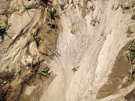 Figure dry sand after the water has gone