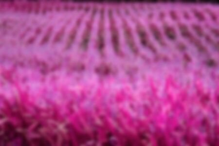 Colorful background wallpaper art design.の写真素材