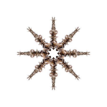 Mandala asterisk from twigs on a white background. Snowflake made from dry grass on a business...
