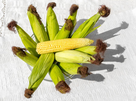 Raw corn cobs lie in a plate on the table.