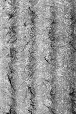 Abstract background with fibers. Monochrome black and white texture.の写真素材