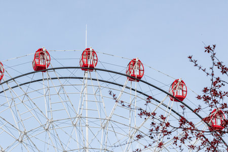 Ferris wheel behind the branches against the blue sky. Entertainment all year round. weekend leisure.の写真素材