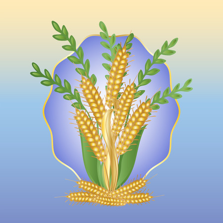 Bouquet of ears of wheat and grasses on a blue backgroundのイラスト素材
