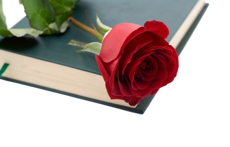 Red rose in a closed book isolated on white backgroundの写真素材