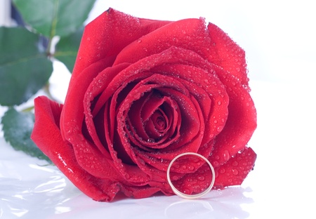 Red rose with a ring with jewels. Isolated on whiteの写真素材