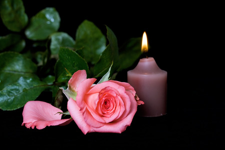 Burning candle and pink rose on a black backgroundの写真素材