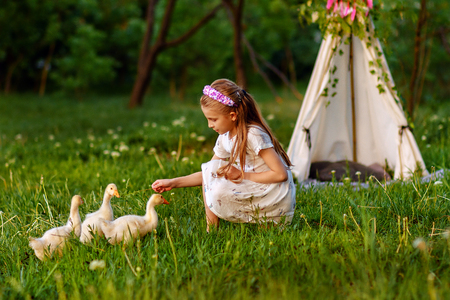 Little girl playing with ducklings on grassの写真素材
