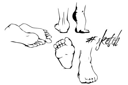 Legs sketch art  lines artisticのイラスト素材