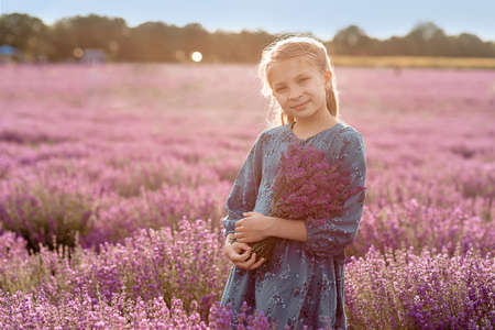 Beautiful girl with a bouquet of lavender in a lavender fieldの写真素材