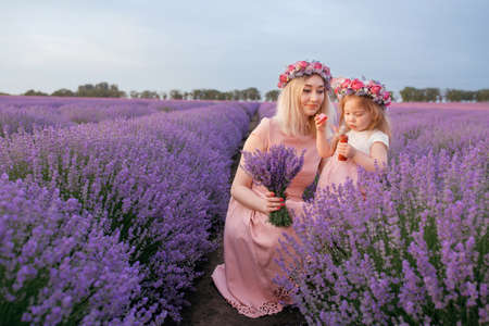 Mom and daughter play and frolic in a lavender fieldの写真素材
