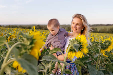Meeting the sunset with his son in his arms and playing in a sunflower fieldの写真素材