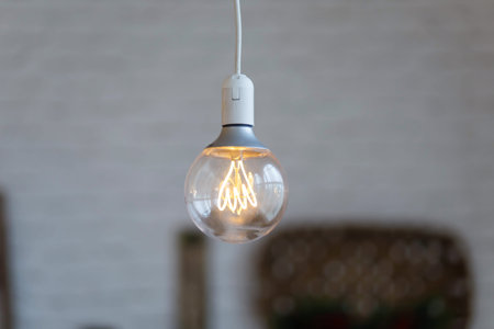 Selective focus shot of a lighted light bulb
